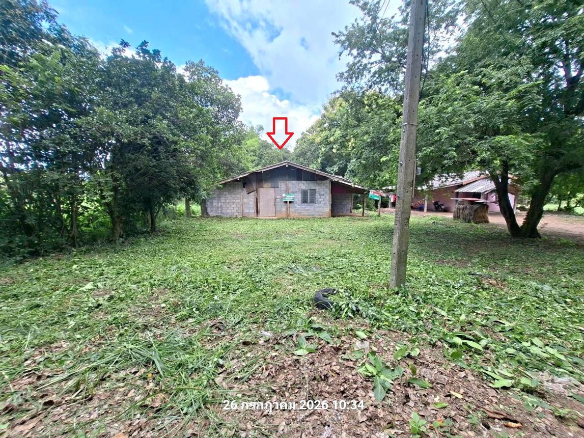 รูป บ้านเดี่ยว 200 ตร.วา เมืองเพชรบูรณ์ เพชรบูรณ์ 290,000 - รูปที่ 11/23