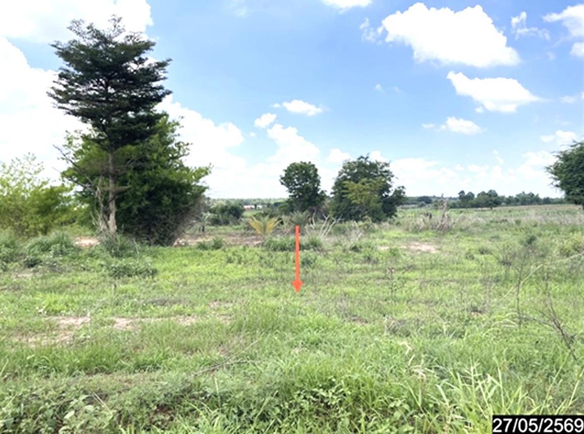 picture LAND 5205 Sq.w. Khao Suan Kwang Khon Kaen for 2.6M - 18/23