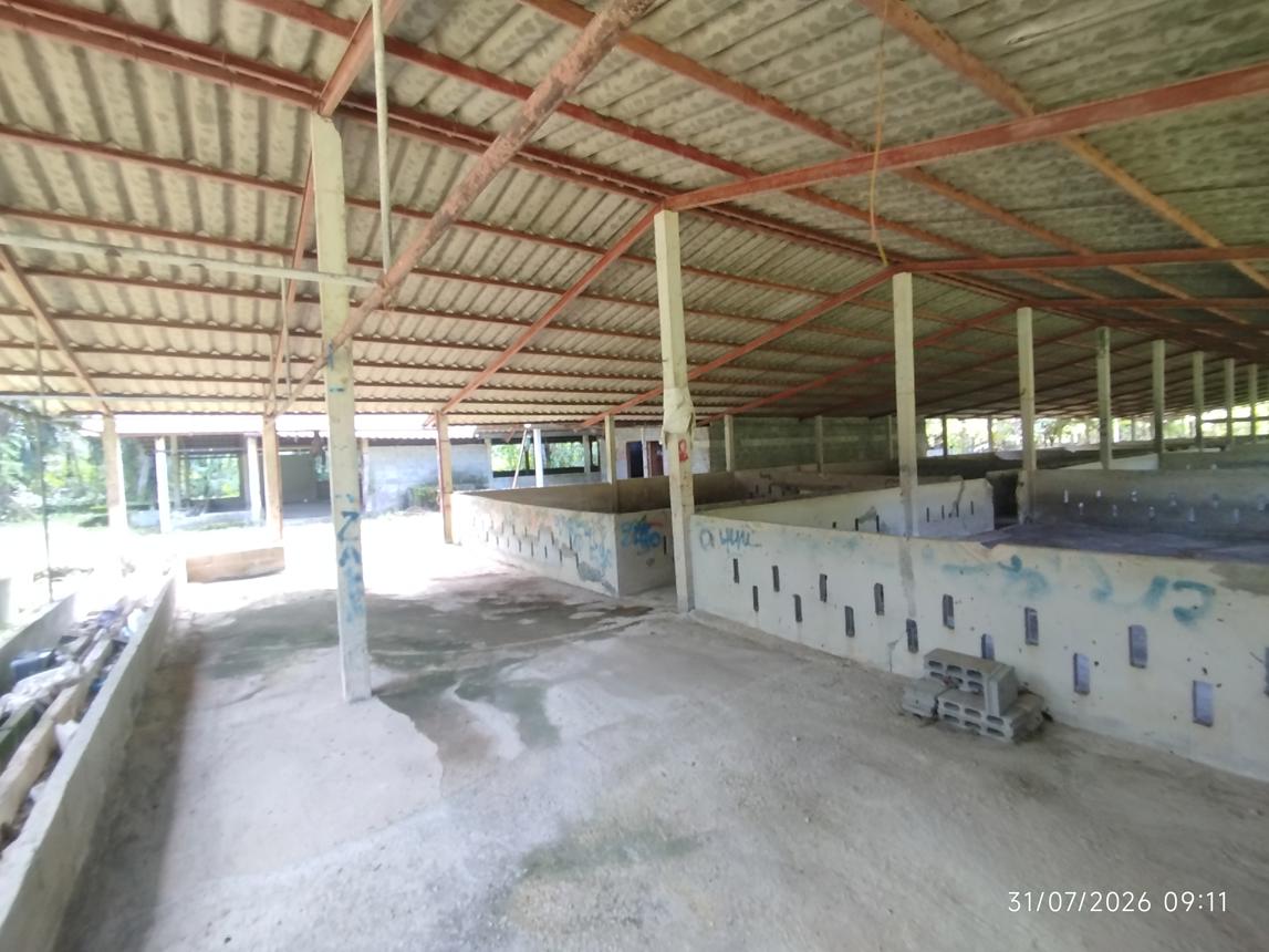 รูป ฟาร์ม 2165 ตร.วา กะปง พังงา 4M - รูปที่ 24/35