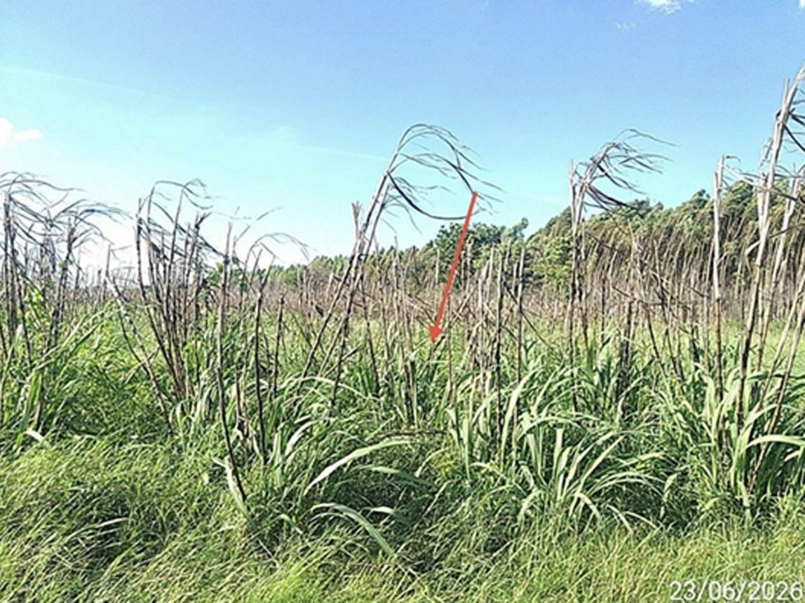 picture LAND 8416.6 Sq.w. Aranyaprathet Srakaeo for 9.4M - 20/25