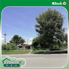 listing thumbnail image 36