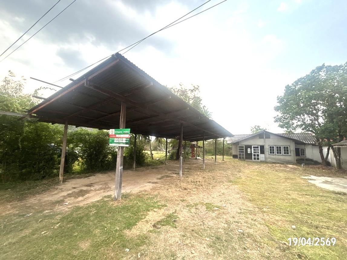 picture HOME 252 Sq.w. Prakhon Chai Buri Ram for 781,000 - 18/35