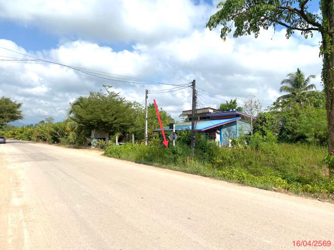 รูป ที่ดินว่างเปล่า 83 ตร.วา ป่าบอน พัทลุง 388,000 - รูปที่ 2/15