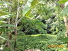 listing thumbnail image 23