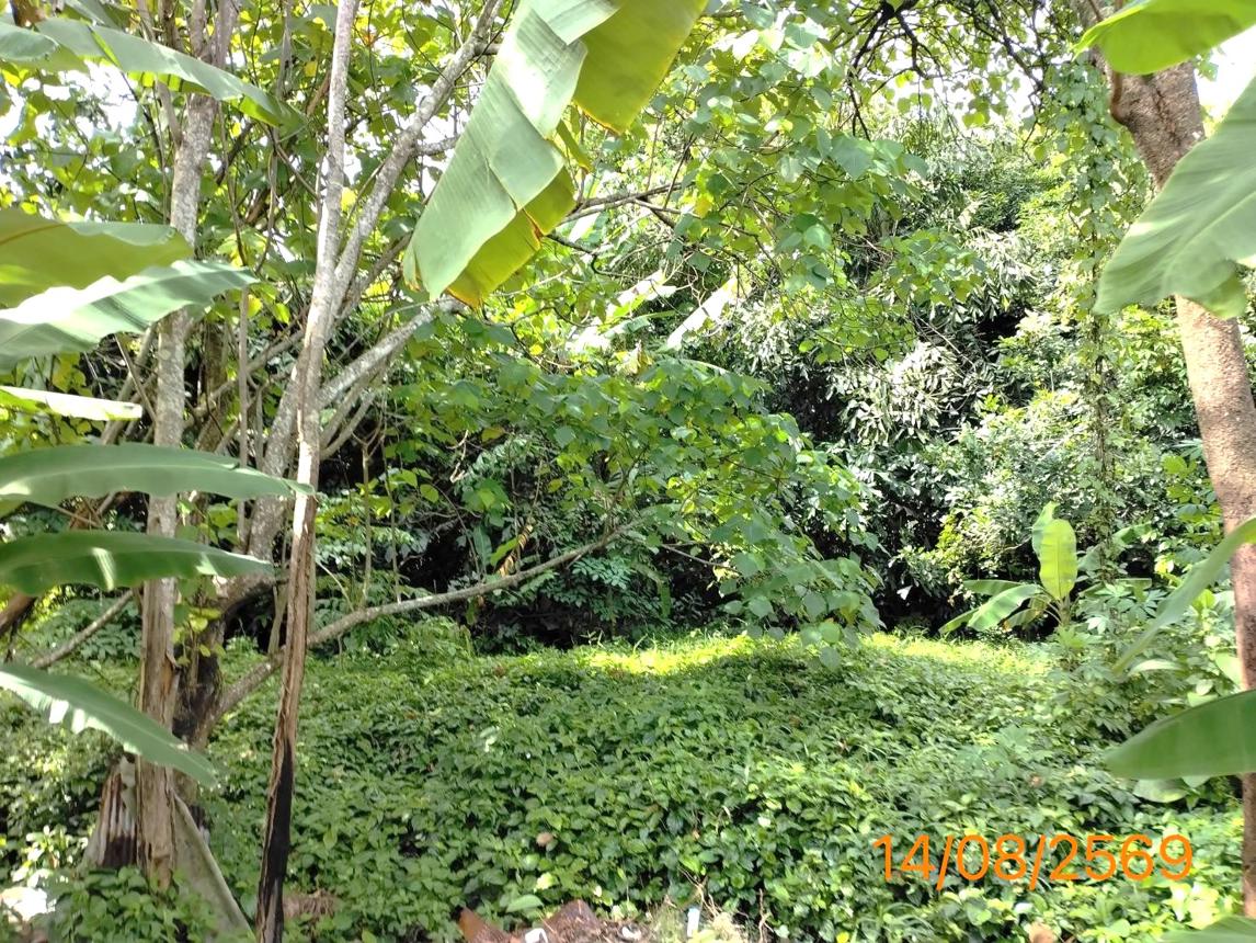 picture HOME 379.2 Sq.w. Muang Krabi Krabi for 2.8M - 24/29