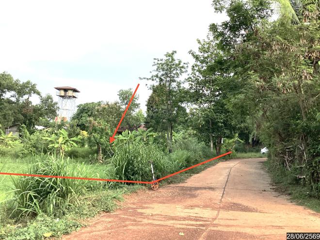picture LAND 1358 Sq.w. Phanna Nikhom Sakon Nakhon for 1.1M - 4/21