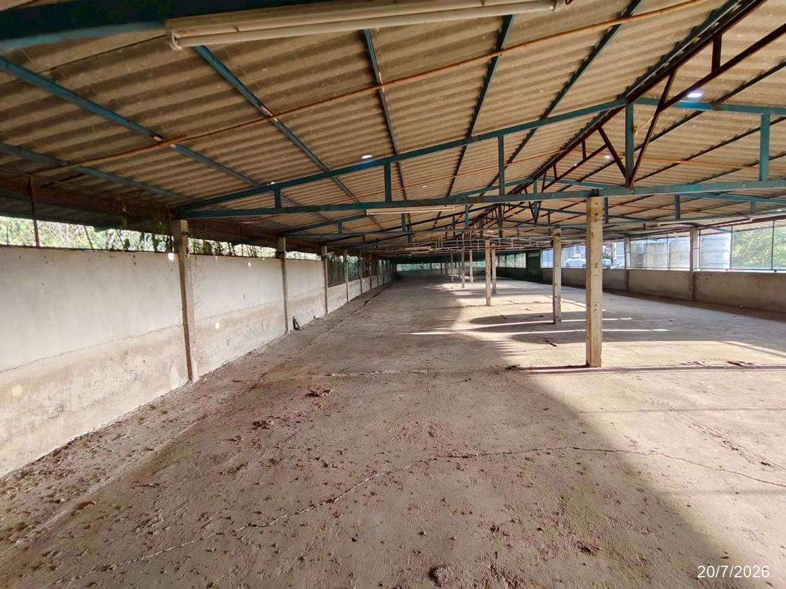 picture FACTORY 1848 Sq.w. Phu Khieo Chaiyaphum for 4.3M - 36/47