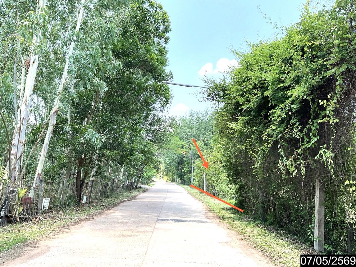 รูป ที่ดินว่างเปล่า 2302 ตร.วา ศรีวิไล บึงกาฬ 5.8M - รูปที่ 21/25