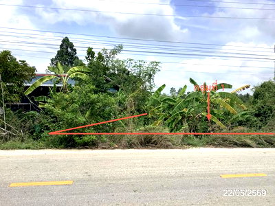 ขายที่ดิน : ที่ดินว่างเปล่า 3979 ตร.วา คลองขลุง กำแพงเพชร 3.5M