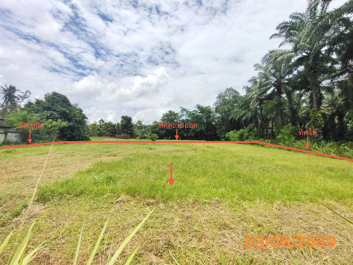 picture LAND 235.5 Sq.w. Nua Khlong Krabi for 2.6M - 11/17