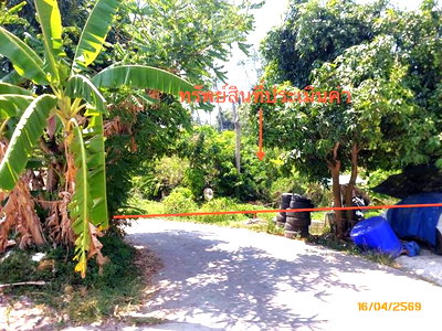 ขายที่ดิน : ที่ดินว่างเปล่า 1708 ตร.วา เกาะสมุย สุราษฎร์ธานี 12.7M
