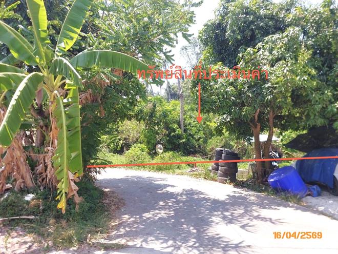 picture LAND 1708 Sq.w. Ko Samui Surat Thani for 12.7M - 1/15