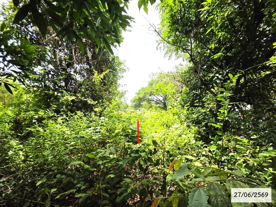 picture LAND 200 Sq.w. Phang Khon Sakon Nakhon for 512,000 - 19/25