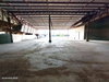 listing thumbnail image 29