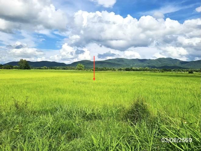 picture LAND 2203 Sq.w. Chun Phayao for 1.7M - 7/21