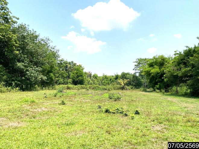 รูป ที่ดินว่างเปล่า 2302 ตร.วา ศรีวิไล บึงกาฬ 5.8M - รูปที่ 4/25
