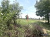 listing thumbnail image 13