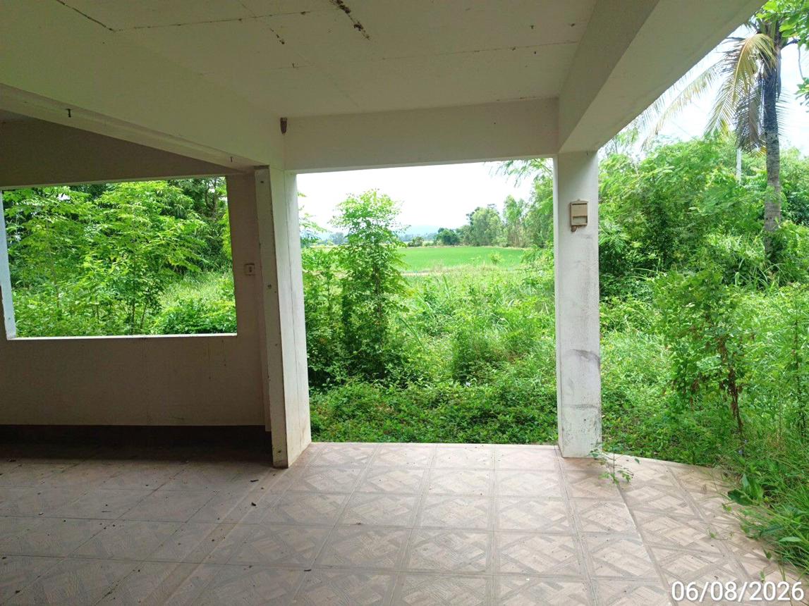 รูป บ้านเดี่ยว 2774.6 ตร.วา พรหมพิราม พิษณุโลก 3M - รูปที่ 25/45