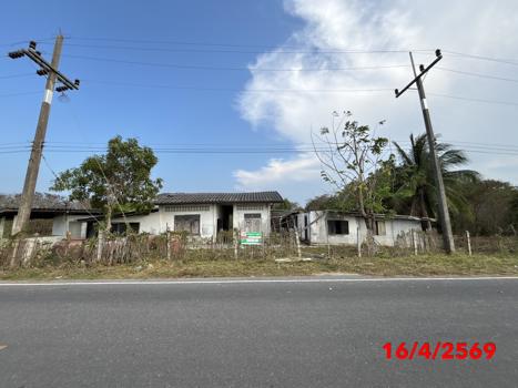 picture HOME 4945 Sq.w. Kanchanadit Surat Thani for 2.3M - 44/47