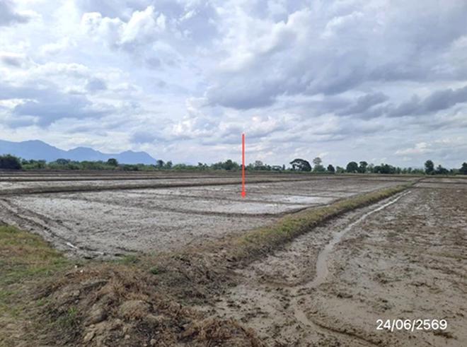 picture LAND 5450 Sq.w. Mae Chan Chiang Rai for 2.6M - 8/19