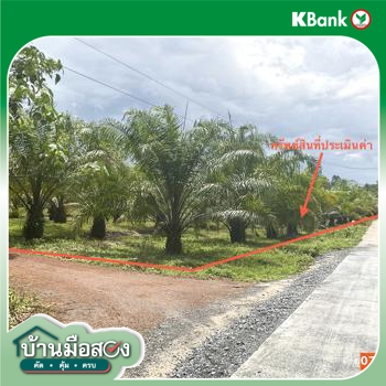 รูป ที่ดินว่างเปล่า 4886 ตร.วา ทุ่งสง นครศรีธรรมราช 3.2M - รูปที่ 13/15