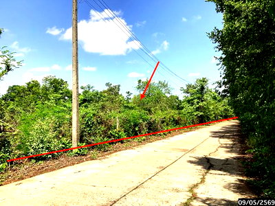ขายที่ดิน : ที่ดินว่างเปล่า 12389 ตร.วา กุสุมาลย์ สกลนคร 7.7M