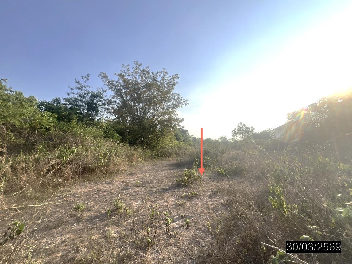 picture LAND 1601.4 Sq.w. Warin Chamrap Ubon Ratchathani for 5.3M - 14/21