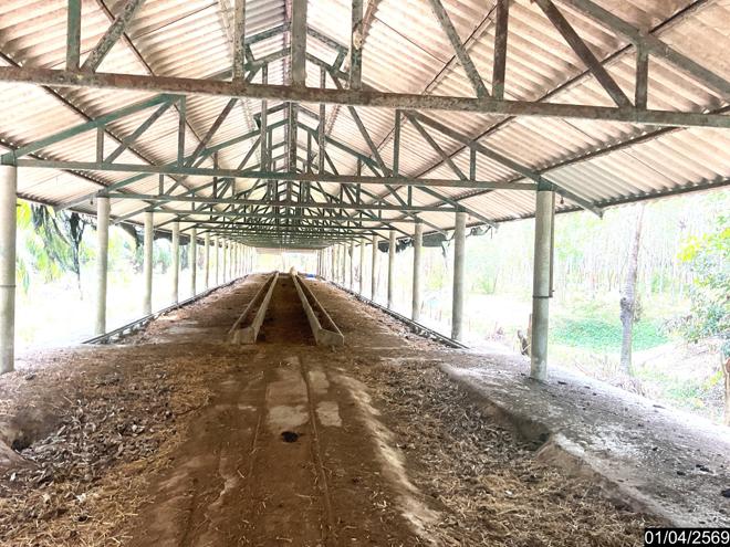 picture LAND 1709.6 Sq.w. Pa Bon Phatthalung for 2.5M - 7/25
