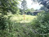 listing thumbnail image 29