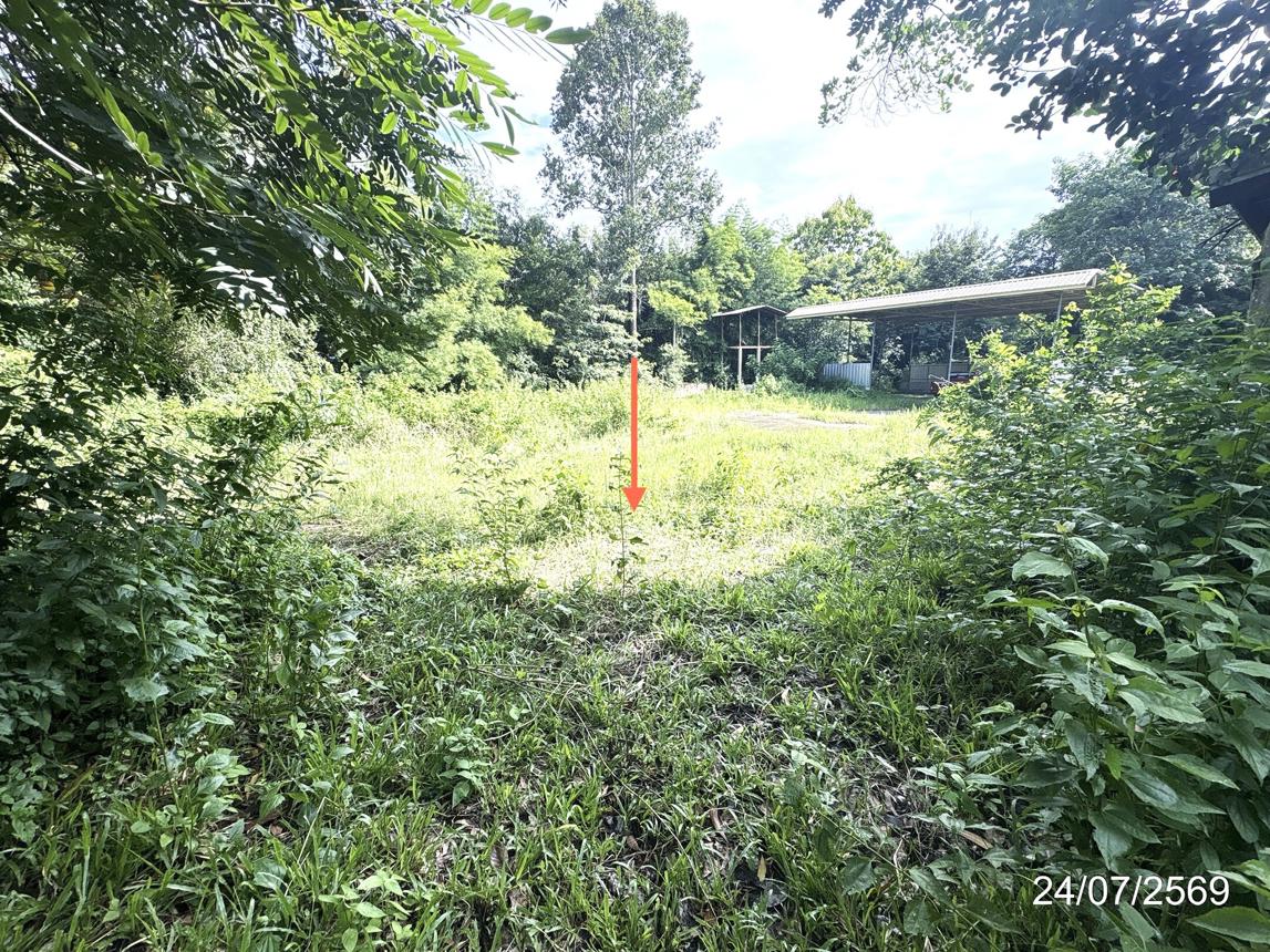รูป บ้านเดี่ยว 791 ตร.วา เดชอุดม อุบลราชธานี 3.1M - รูปที่ 30/35