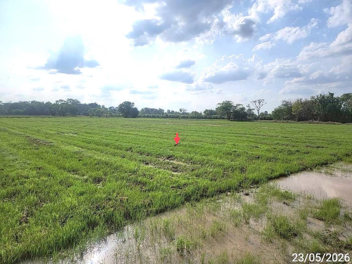 picture LAND 2647 Sq.w. Phayakkhaphum Phisai Maha Sarakham for 929,000 - 18/23