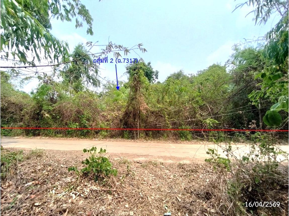 รูป ที่ดินว่างเปล่า 2669 ตร.วา เรณูนคร นครพนม 2.1M - รูปที่ 25/31