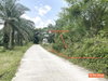 listing thumbnail image 31