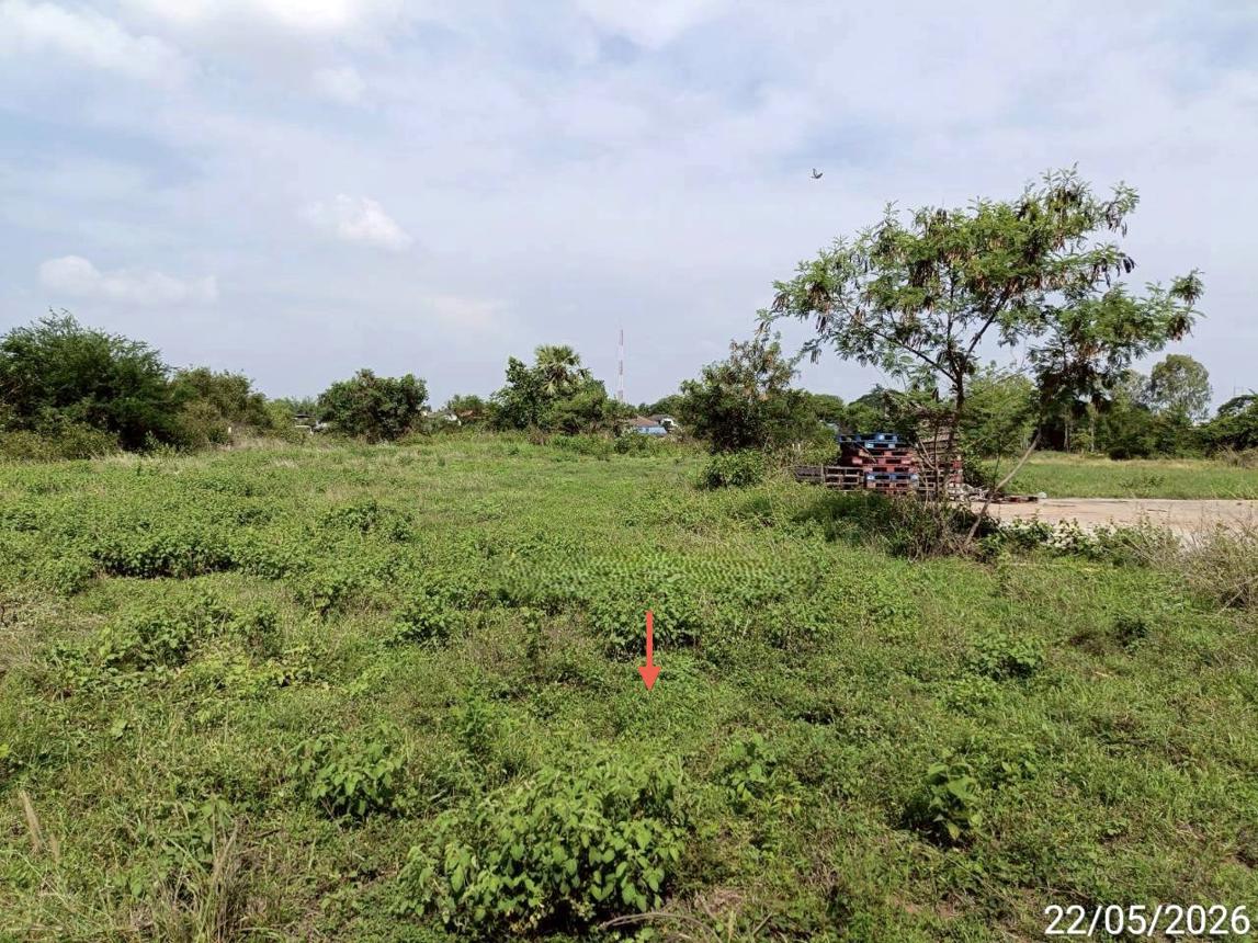 รูป ที่ดินว่างเปล่า 1355 ตร.วา เชียงยืน มหาสารคาม 5.5M - รูปที่ 10/15