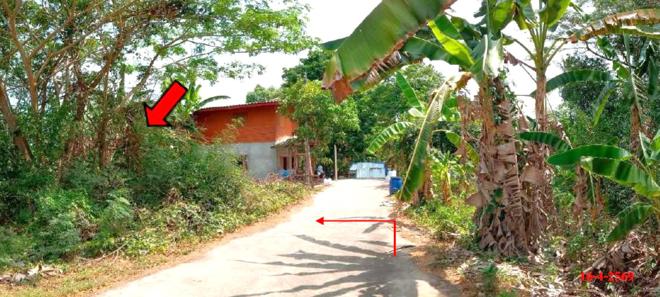 รูป ที่ดินว่างเปล่า 50 ตร.วา หนองจิก ปัตตานี 563,000 - รูปที่ 4/11