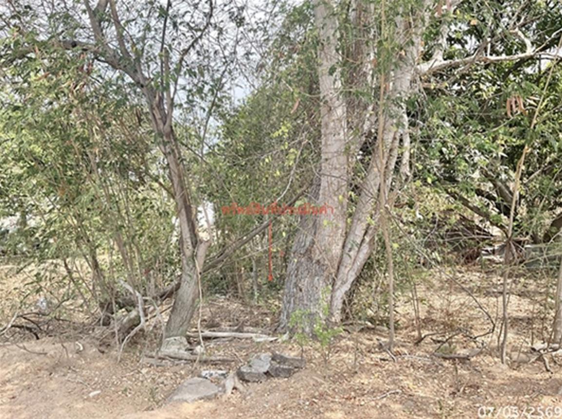 รูป ที่ดินว่างเปล่า 209.7 ตร.วา หัวหิน ประจวบคีรีขันธ์ 2.5M - รูปที่ 8/15