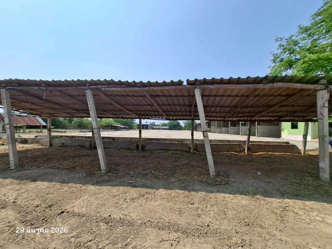 รูป บ้านเดี่ยว 6918 ตร.วา บึงสามัคคี กำแพงเพชร 11.1M - รูปที่ 52/107