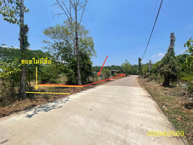 picture LAND 179.2 Sq.w. Kantrang Trang for 1.5M - 11/25