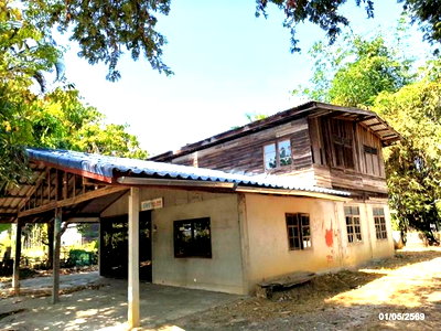 บ้านเดี่ยว สุรินทร์ : บ้านเดี่ยว 148 ตร.วา โนนนารายณ์ สุรินทร์ 513,000
