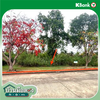 listing thumbnail image 18