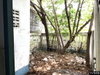 listing thumbnail image 27