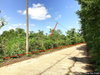 listing thumbnail image 11