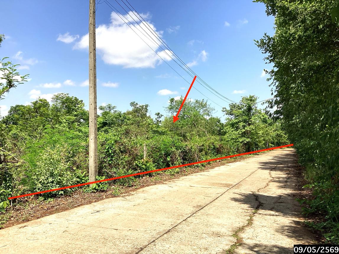 รูป ที่ดินว่างเปล่า 12389 ตร.วา กุสุมาลย์ สกลนคร 7.7M - รูปที่ 12/25