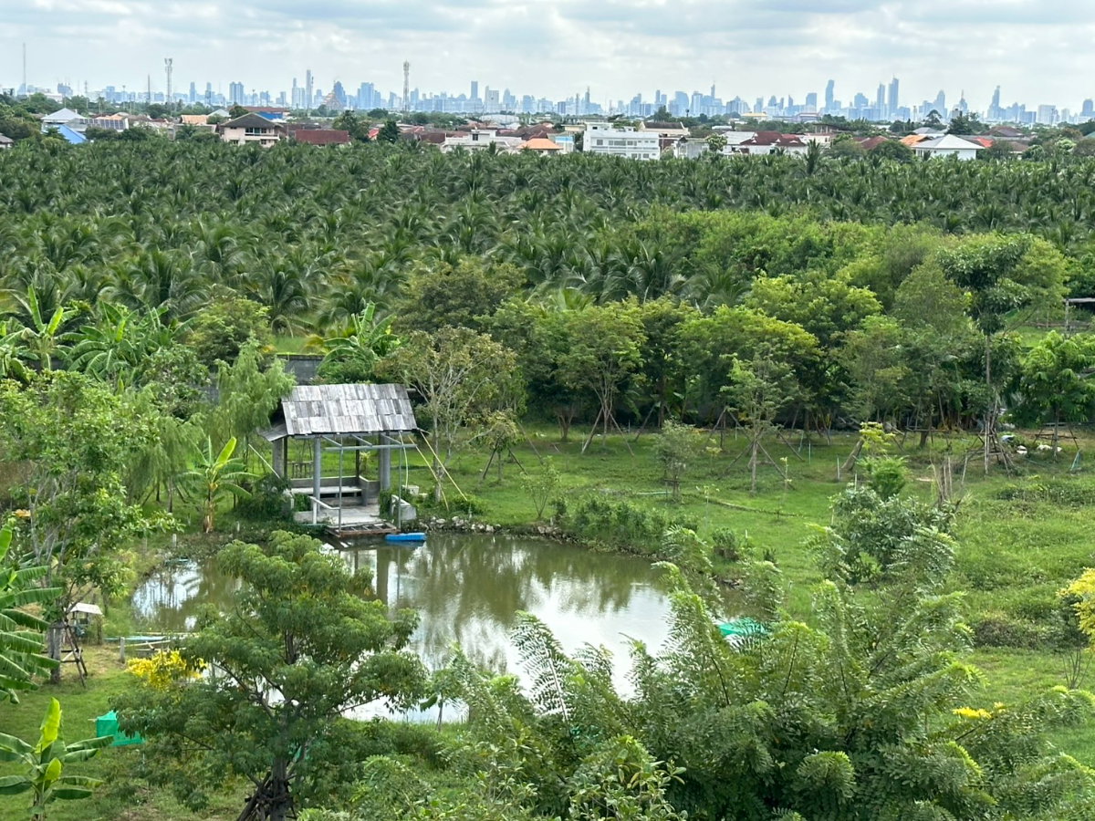 รูป ให้เช่า อาคารพาณิชย์ บ้านสวนบุญภามาลี พุทธมณฑลสาย 2 ขนาด 500 ตรว. 500 ตรม. 12 นอน 12 น้ำ 4 ชั้น จอดรถได้ 18 คัน - รูปที่ 16/23