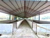 listing thumbnail image 24