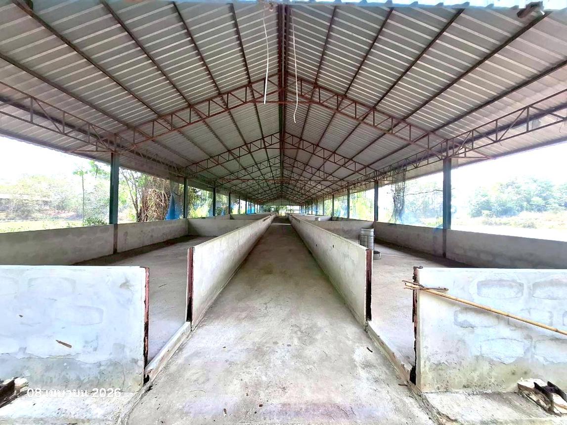 รูป ฟาร์ม 9600 ตร.วา เก้าเลี้ยว นครสวรรค์ 12.6M - รูปที่ 25/39