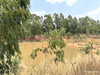 listing thumbnail image 16