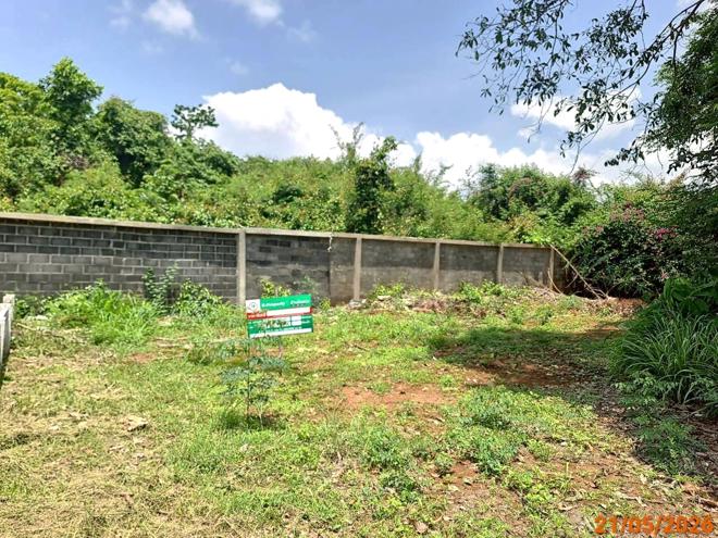 picture LAND 200 Sq.w. Pak Chong Nakhon Ratchasima for 3.7M - 4/17