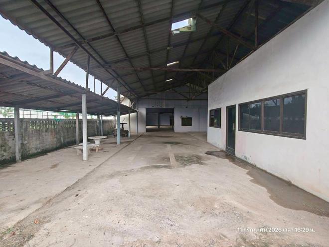 รูป โกดัง 606 ตร.วา ฆ้องชัย กาฬสินธุ์ 5.2M - รูปที่ 5/41