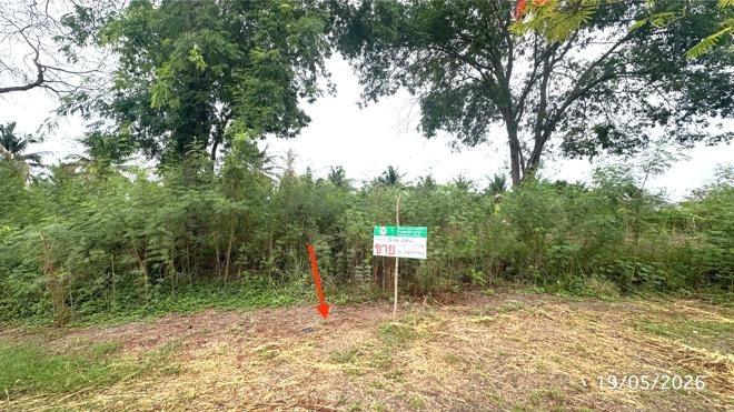 picture LAND 225 Sq.w. Nakhon Chai Sri Nakhon Pathom for 3.3M - 8/21
